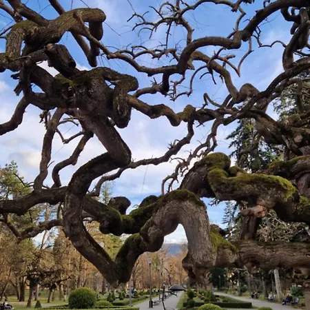 La Campanella 1 Daire